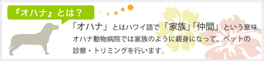 「オハナとは」ハワイ語で『家族』『仲間』という意味。オハナ動物病院ではかぞくのように親身になって、ペットの診察・トリミングを行います。